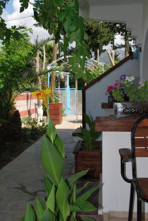 דליאן Myra Hotel מראה חיצוני תמונה